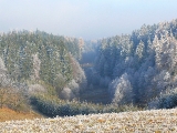 Nad Ještěrným rybníkem, zima 2012