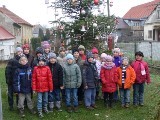 Vánoční strom - 2013